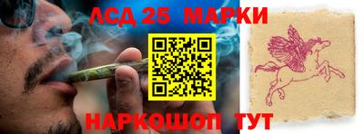 индика Ленинск-Кузнецкий