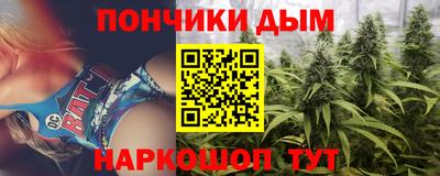 сатива Будённовск