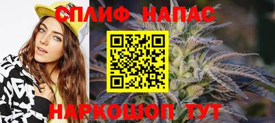 сатива Будённовск