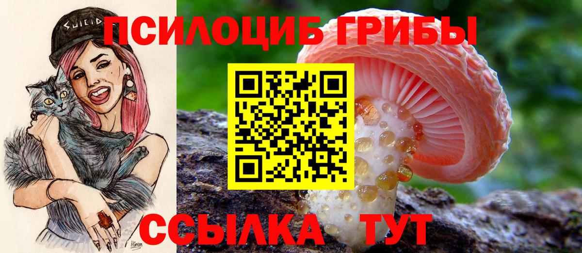 Псилоцибиновые грибы Cubensis  Вход с VPN  Псилоцибиновые грибы GOLDEN TEACHER  Корсаков 