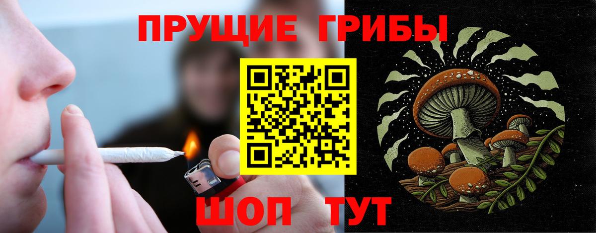 Псилоцибиновые грибы MAGIC MUSHROOMS Корсаков